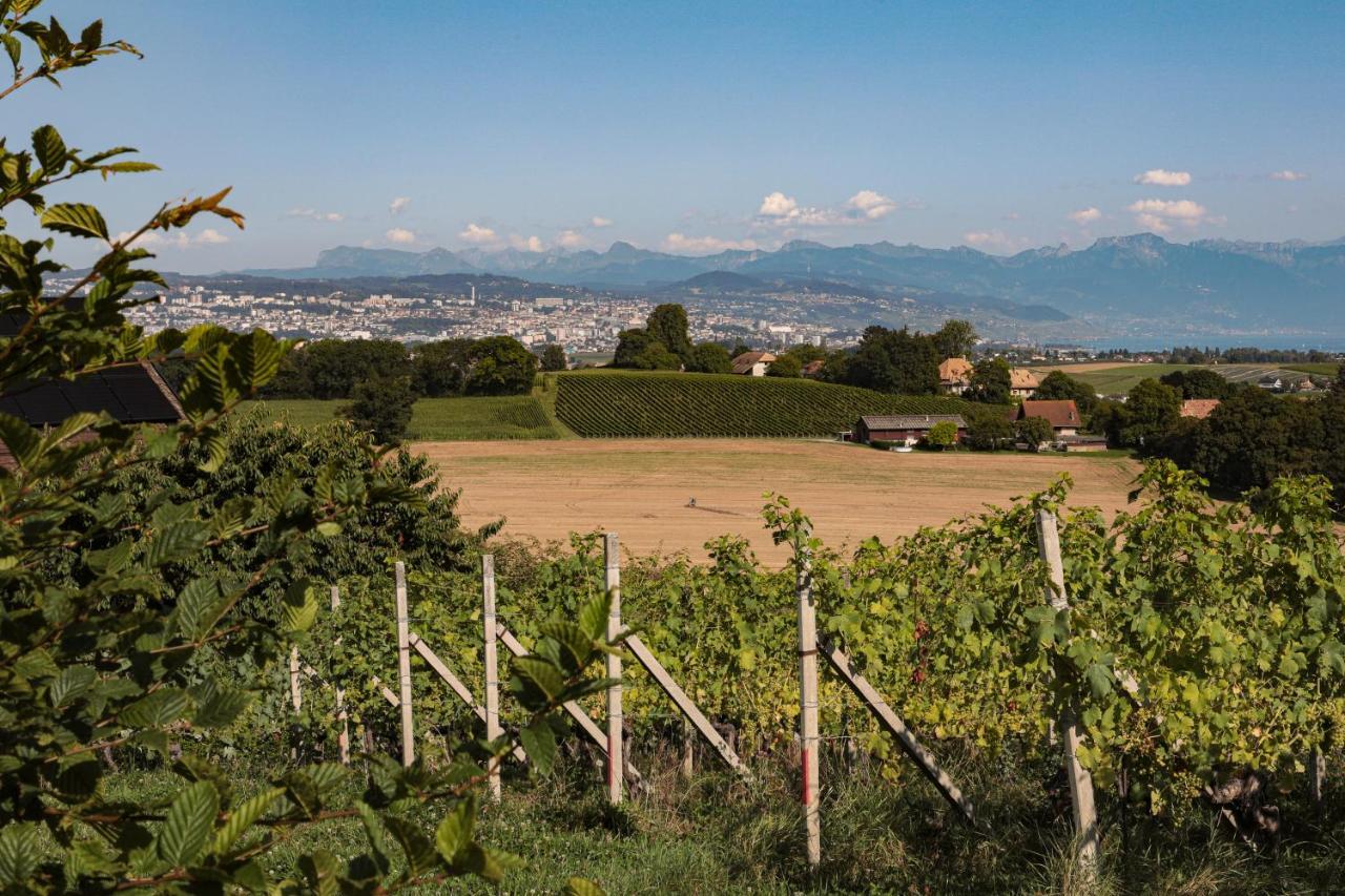 Appartement Les Volets Bleus à Morges Extérieur photo